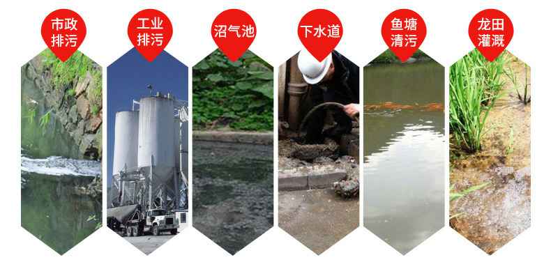 离心泵